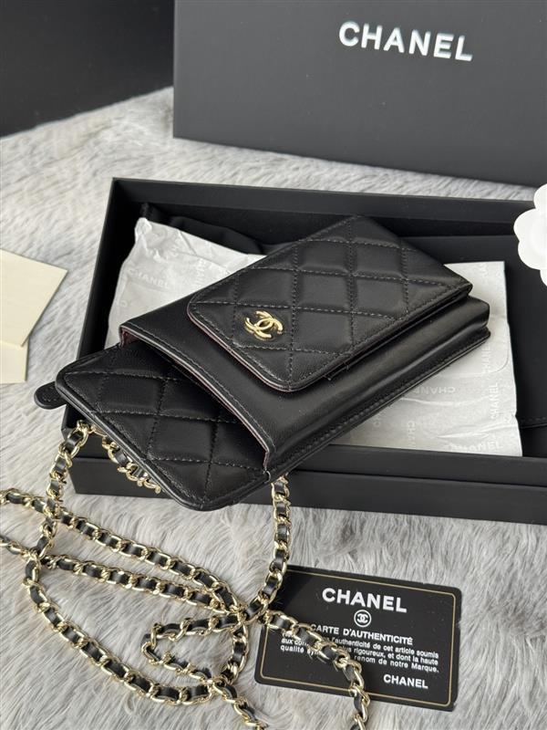 2026131221823793 350